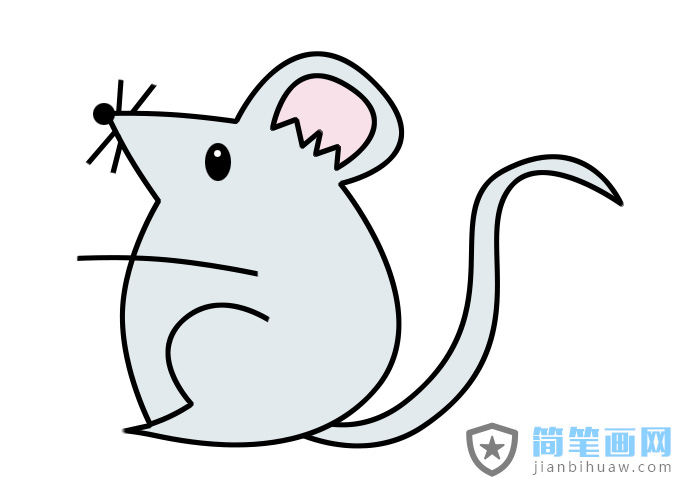 老鼠簡(jiǎn)筆畫(huà)的畫(huà)法步驟及上色圖片