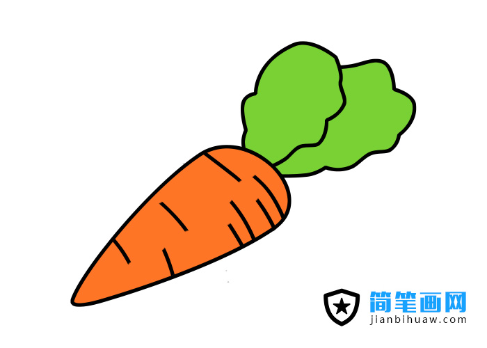 胡蘿卜的簡筆畫畫法和分解步驟