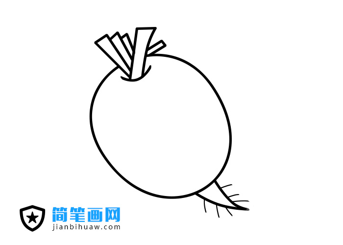 蘿卜的簡筆畫圖片