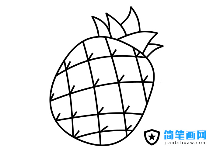 菠蘿的簡筆畫圖片