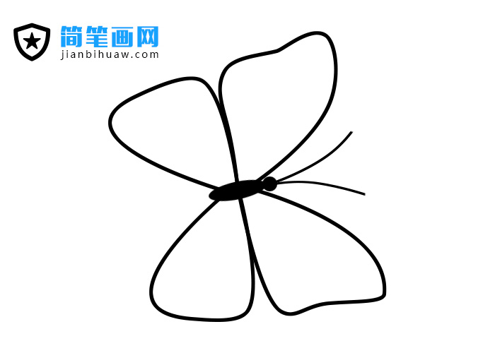 花蝴蝶簡(jiǎn)筆畫圖片包含分解步驟和上色