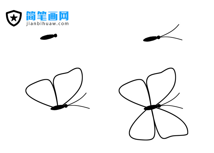 花蝴蝶簡(jiǎn)筆畫圖片包含分解步驟和上色