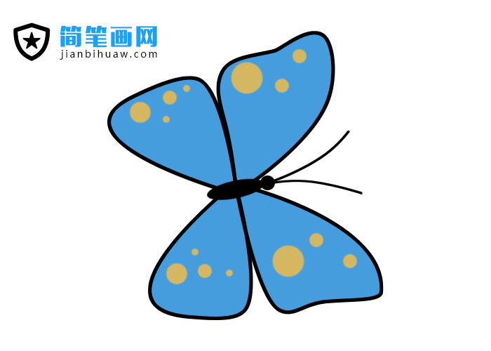 花蝴蝶簡(jiǎn)筆畫圖片包含分解步驟和上色