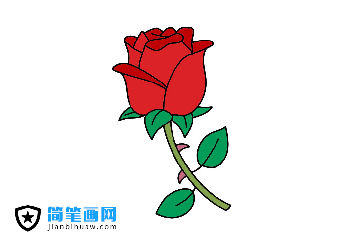 漂亮的玫瑰花簡(jiǎn)筆畫圖片含上色