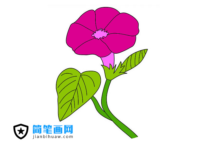 ţPɫDƬ