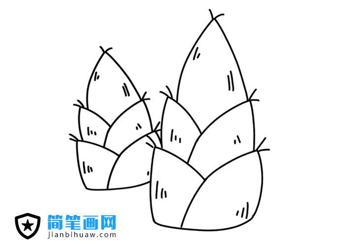 竹筍簡(jiǎn)筆畫圖片