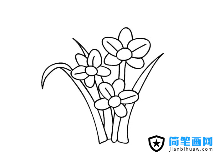 花卉水仙簡筆畫圖片