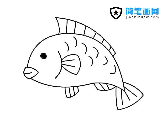 可愛的小鯉魚簡(jiǎn)筆畫圖片