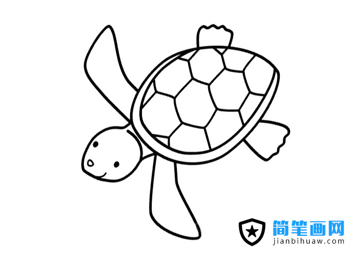 小海龜簡筆畫圖片
