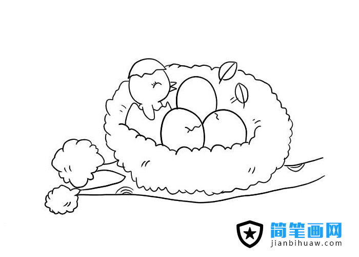 BCPDƬɫ