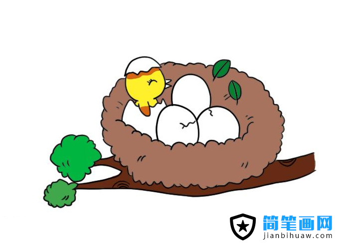 BCPDƬɫ