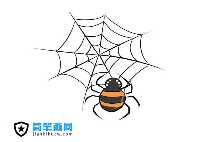 簡單好畫的蜘蛛網蜘蛛簡筆畫圖片