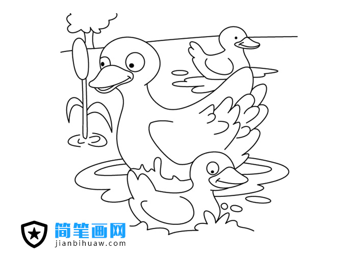 一只大鴨子帶兩只小鴨子河里游泳的簡筆畫圖片